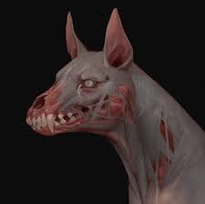 Artstation Undead Hound Betty Jiang Creature Art Creature Drawings Dark Fantasy Art