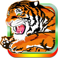 Maybe you would like to learn more about one of these? Cricket Bangladesh Amazon De Apps Spiele