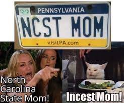 66 Woman Yelling At A Cat Memes That Still Slap In 2020 Funny Gallery