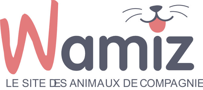 Logo media