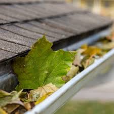 Gutter Cleaning Austin