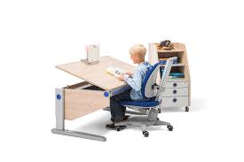Ergonomische und kindersichere schreibtische für kinder und jugendliche bietet moll seit 1974 und gilt deshalb als erfinder der kinderschreibtische. Kindermobel Kormann Shop Schreibtisch Moll Winner Classic In Ahorn Weiss