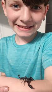 My 12 year old son, who wants to go to college for entomology, bought an  Asian Forest Scorpion today. He named her Ghost.