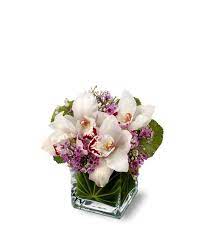 Teleflora S Lovely Orchids Orchid Arrangements Orchid Centerpieces Flower Arrangements