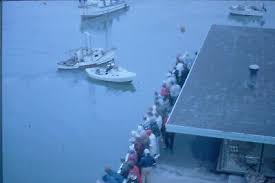 Image result for Green 1964 Fleet