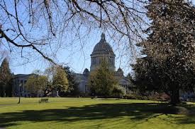 Maybe you would like to learn more about one of these? A Brief History Of Washington State Earthquakes And How To Be Prepared For The Next One Thurstontalk