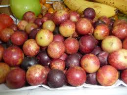 Camu Camu With Images Fruit Herbs For Health Superfoods
