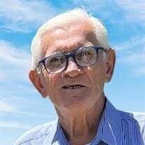 Robert David Sefcik Obituary