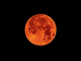 Watching the Super Blood Wolf Moon? What to Know About This Lunar  Phenomenon | WIRED