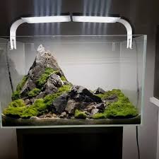 Mountain Scape Size 40x25x25 Cm In 2020 Aquarium Aquascape Aquarium Landscape