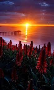 Beautiful View Collection Of Great Pictures Nature Photography Beautiful Sunrise Beautiful Nature