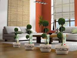 Maybe you would like to learn more about one of these? Choisir Son Systeme D Arrosage De Vacances Pour Ses Plantes D Interieur Gamm Vert