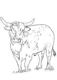 You can use our amazing online tool to color and edit the following bull coloring pages. Coloring Pages Bull Coloring Page For Kids