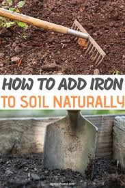 Check spelling or type a new query. Have You Ever Thought About Amending Your Soil Like Garden Plants The Soil Itself Also Needs Utmost Care Failin Iron For Plants Clay Soil Plants Garden Soil