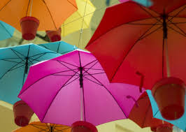 Spring Umbrellas Collins Street Melbourne Spring Umbrella Street Portrait Umbrella