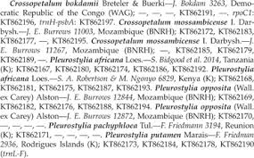 Image result for Crossopetalum mossambicense