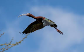 James Leu (@james_leu_photography) • Instagram photos and videos