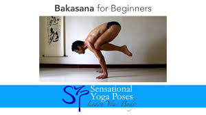 Bakasana For Beginners Crow Pose Yoga Arm Balance Yoga Poses Yoga Arm Balance Crow Pose
