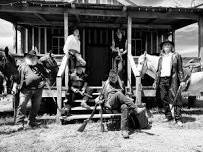 Live Music: The Outlaw Years