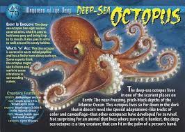 Deep Sea Octopus Deep Sea Creatures Deep Sea Animals Octopus
