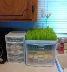 Keep Baby Bottle Supplies Organized With Plastic Storage Containers Baby Organization Baby Supplies Baby Storage