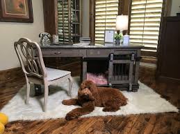 Maybe you would like to learn more about one of these? What Can You Put In A Dog Crate