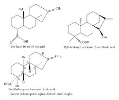 Image result for Alepidea amatymbica