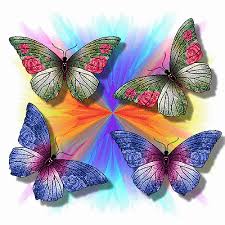 Explore and share the best butterfly gifs and most popular animated gifs here on giphy. 300 Butterfly Gifs Gif Abyss