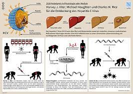 The virus is one of several types of hepatitis viruses that cause inflammation and affect your liver's ability to function. Hepatitis C Wikipedia