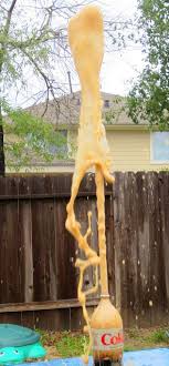 Science Experiment Diet Coke And Mentos Geyser Science Experiments Kids Science Experiments For Preschoolers Cool Science Experiments