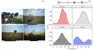 Get answers to your questions about mumps lab testing and mumps infection. Computer Lab 6 Analyzing Camera Trap Data Bionb 2210 Summer 2021 Computer Labs