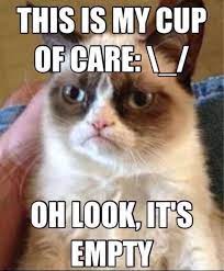 Pin By Chele Campbell Butcher On Katz Funny Grumpy Cat Memes Funny Cat Memes Grumpy Cat Meme