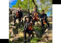 Sunset Music Series: Dolphins Quartet