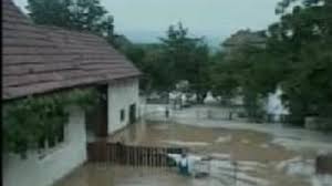 1 din borşa, ☎ telefon +40 262 342 120 cu ⌚ orar, păreri şi indicații rutiere. Polso Bicchiere Frank Worthley Stiri Din Borsa Maramures Non Fare Terrorismo Scimmia