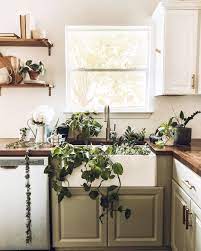 Kitchen Plants Boho Kitchen Watering Plants Plant Lady Plants In Sink Big White Sink Farmho Green Kitchen Cabinets Modern Kitchen Modern Cottage Kitchen