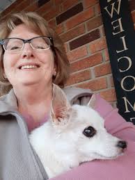 Found blonde chihuahua at post office