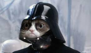 Grumpy Cat Star Wars Meme Generator Imgflip