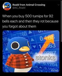 Pin By Video Game Aesthetic On Animal Crossing Villagers In 2021 Animal Crossing Memes Animal Crossing Funny Animal Crossing