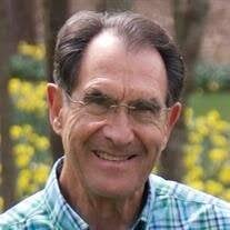 Dr. Stephen Thomas True Obituary