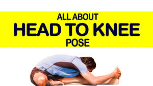 For beginners and advanced yoga practitioners alike, adjust the pose t. Head To Knee Pose Janu Sirsasana Yoga For Beginners Triyogam Series Youtube