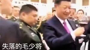 红太阳」阴影！呆傻毛新宇十九大没份儿(多图)