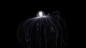 Maybe you would like to learn more about one of these? The Ten Longest Living Creatures In The World Swiss Life Group