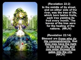 Contemporary english version then it flowed down the middle of the city's main street. Paradiseparadise Paradiseparadise F A L Of M A N F A L Of M A N Gen 3 22 24 Then The Lord God Said Behold The Man Has Become Like One Of Us