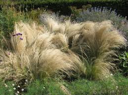 epingle sur jardinage