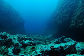 The Rock At The Bottom Of The Eastern Mediterranean Is 340 Million Years Old Underwater Ocean Bottom Of The Ocean