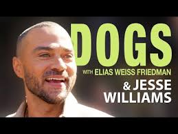 DOGS with Elias Weiss Friedman