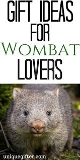 20 Gift Ideas For A Wombat Lover Milestone Birthday Gifts Gifts Wombat
