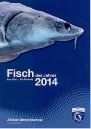 Und inzwischen ist der rote fisch zu hause nicht so schwierig, wie viele sich vorstellen. Info Broschure Zum Thema Stor Fisch Fang