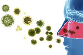 Les causes, les symptômes, les complications possibles, le traitement et la prévention de la rhinite allergique. Rhinite Allergique Et Asthme Symptomes Diagnostic Traitement
