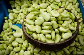 Image result for fava